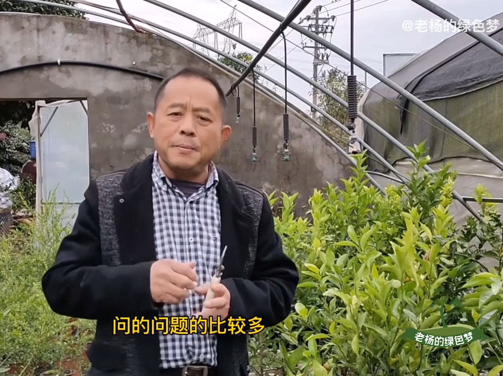 国家高级园艺师杨大连